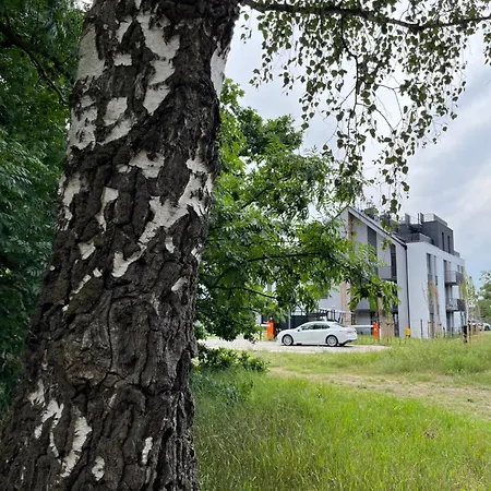 Apartment Venice Amb - Wyspa Sobieszewska Gdansk